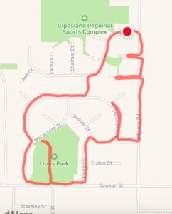 Gorilla (3 KM)